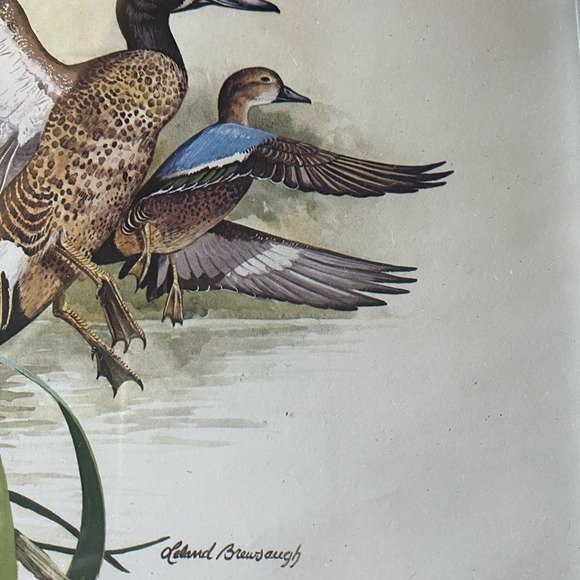 Vintage LELAND BREWSAUGH SIGNED PRINT FRAMED birds pair - Picture 3 of 4